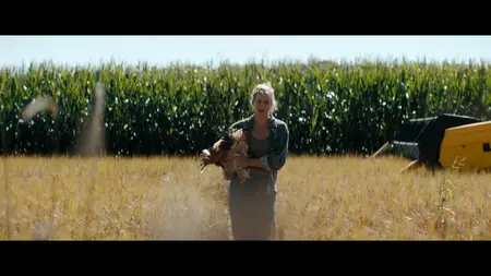 De Ballonvaarder / The Balloonist (2025)