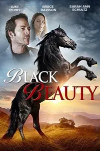 Black Beauty (2015)