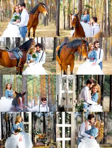 Bride and groom in forest with horses