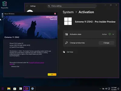 Windows 11 Pro Extreme 11 25H2 Build 26200.5670 (Insider Preview)