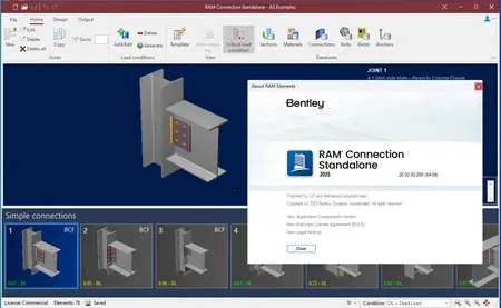 RAM Connection 2025 (25.00.00.205)