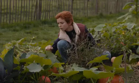 Au fil des saisons / Funny Birds (2024)