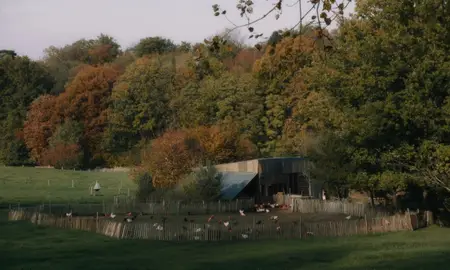 Au fil des saisons / Funny Birds (2024)