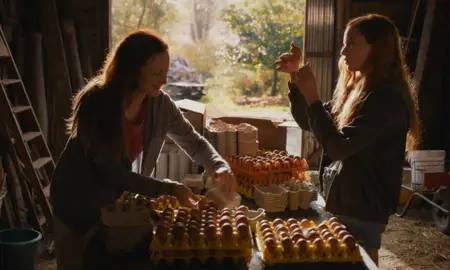Au fil des saisons / Funny Birds (2024)
