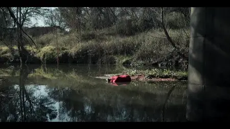 Tiger S01E02