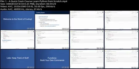 Python Mastery: 100 Days, 100 Projects