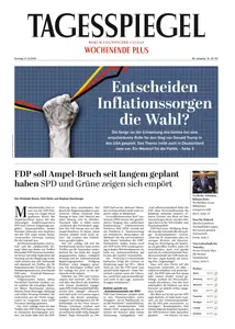 Der Tagesspiegel - 17 November 2024