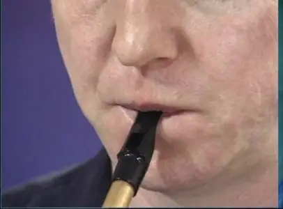 Learn to play the tin whistle - with Vinnie Kilduff (2004)