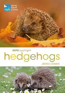 RSPB Spotlight Hedgehogs (Repost)