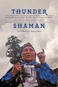 Thunder Shaman : Making History with Mapuche Spirits in Chile and Patagonia