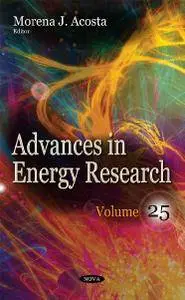 Advances in Energy Research. Volume 25