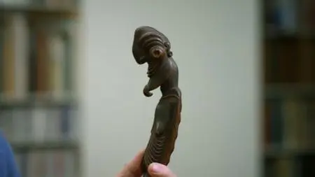 Attenborough's Passion Project (2016)