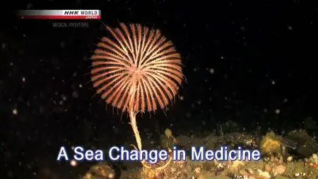 NHK - Medical Frontiers: A Sea Change in Medicine (2018)