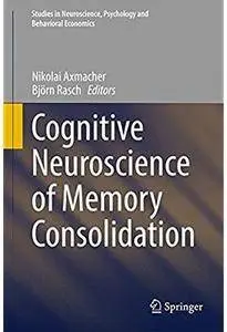 Cognitive Neuroscience of Memory Consolidation [Repost]