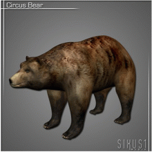 Circus Bear 