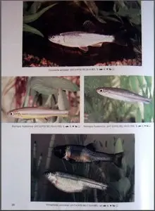 Axelrod H. - Atlas of Freshwater Aquarium Fishes. [Repost]