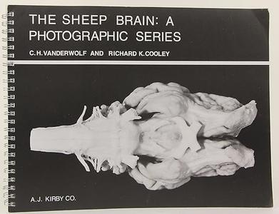 The Sheep Brain: A Photographic Series