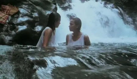 Oro, plata, mata (1982)