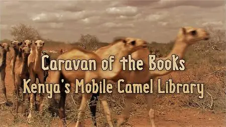 Albatross - Caravan of the Books: Kenya's Mobile Camel Library (2010)