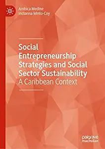 Social Entrepreneurship Strategies and Social Sector Sustainability