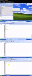 Automation Testing with QTP 11, ALM 11, Selenium 2 with Java