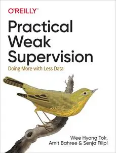 Practical Weak Supervision: Doing More with Less Data