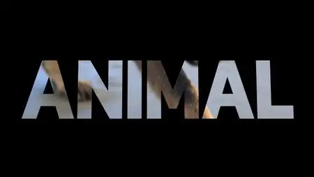 Le règne animal S01E02