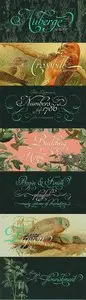 Auberge Script Font Family