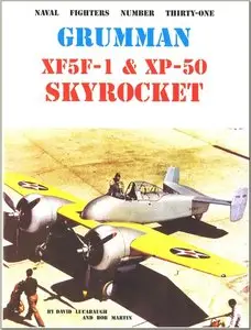 Grumman XF5F-1 & XP-50 Skyrocket