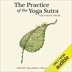 The Practice of the Yoga Sutra: Sadhana Pada [Audiobook]