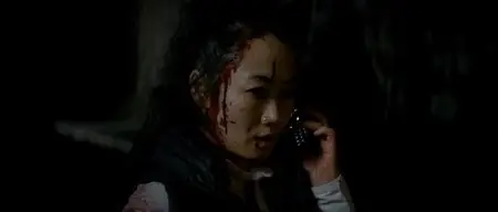 Tian zhu ding / A Touch of Sin (2013)