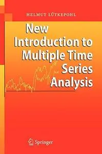 New Introduction To Multiple Time Series Analysis