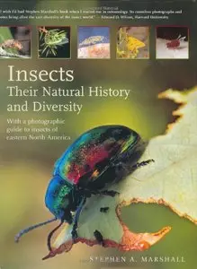 Insects: Their Natural History and Diversity: With a Photographic Guide to Insects of Eastern North America