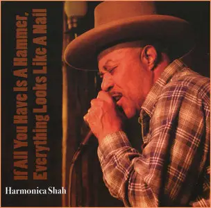 Harmonica Shah - If All You Have Is A Hammer (2009)