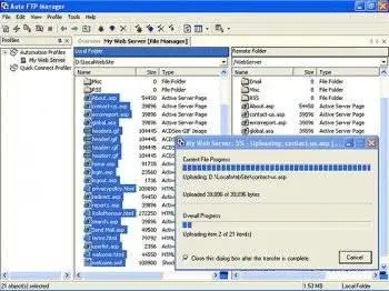 Auto FTP Manager ver. 3.61