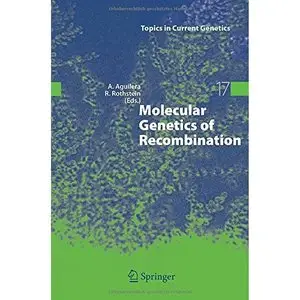 Molecular Genetics of Recombination (Topics in Current Genetics) by Andrés Aguilera