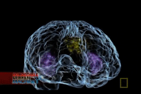 National Geographic: Incredible Human Machine