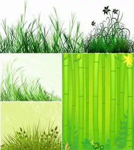 Vector stock - Beautiful Grass