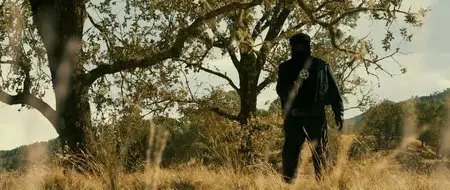 Zodiac Director's Cut (2007)