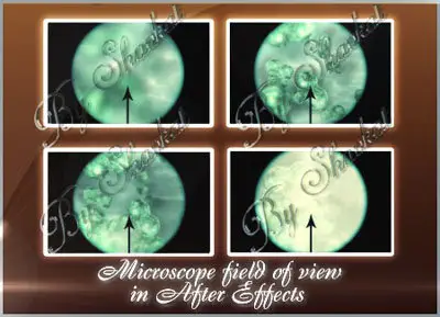 After Effects Tutorial - Microscope Field of View