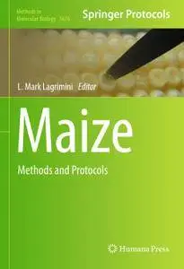 Maize
