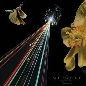 Miracle - The Strife of Love in a Dream (2018) [Official Digital Download 24/96]
