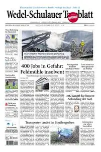 Wedel-Schulauer Tageblatt - 20. November 2018