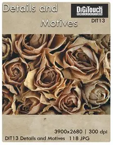 Details and Motives