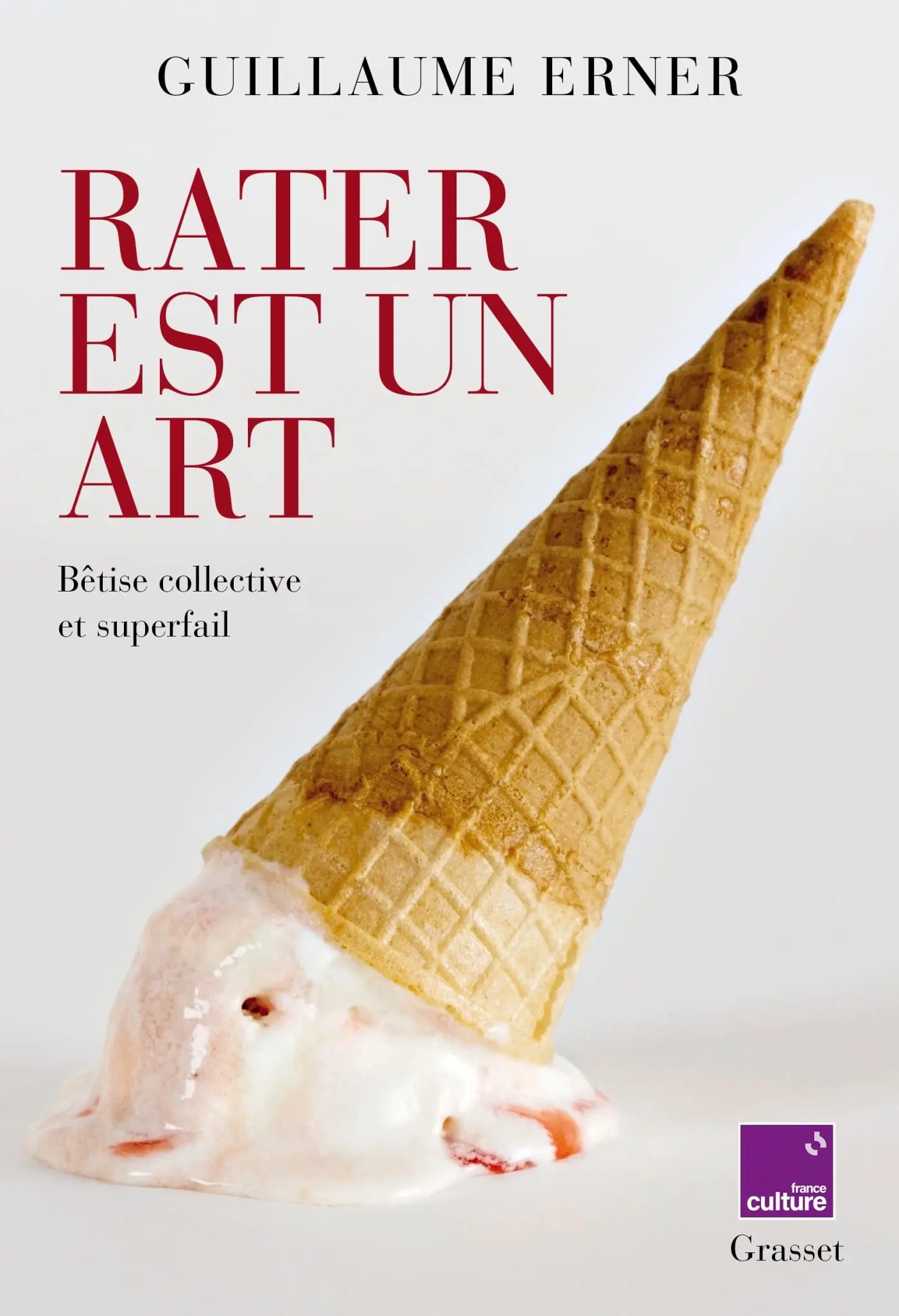 Rater est un art : Bêtise collective et superfail - Guillaume Erner