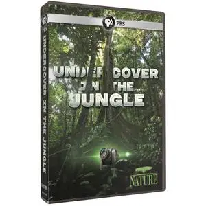 PBS - NATURE: Undercover in the Jungle (2019)