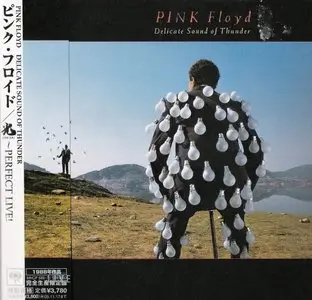 Pink Floyd - Delicate Sound Of Thunder (1988) [Japan 2005]