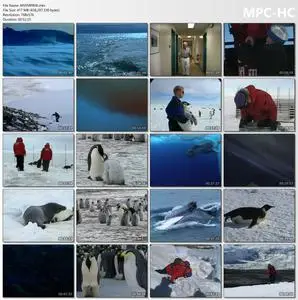 National Geographic: Emperors of the Ice (2006)