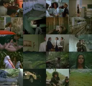 Women in Fury (1984)