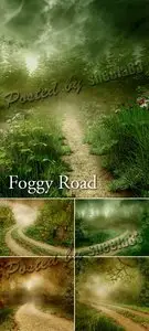 Stock Photo - Foggy Road